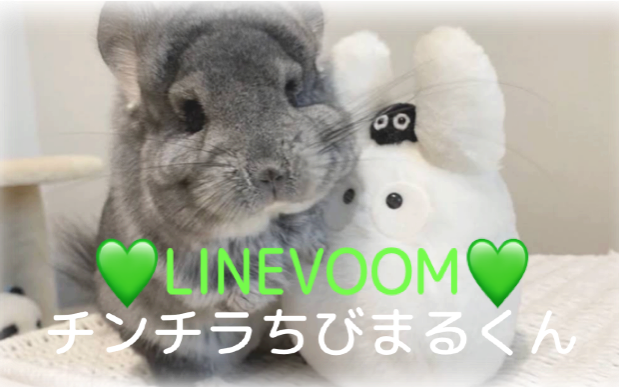LINEVOOM